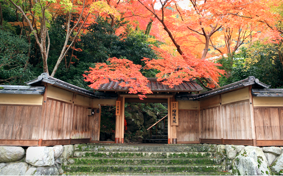 光明寺について